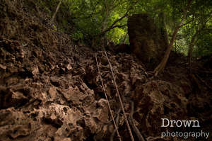 Krabi Cliff