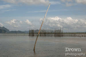 Krabi Tidal Traps